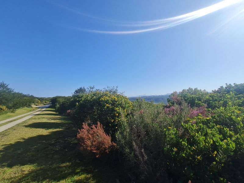 Luxurious Living in Pezula Private Nature Estate - Photo 5