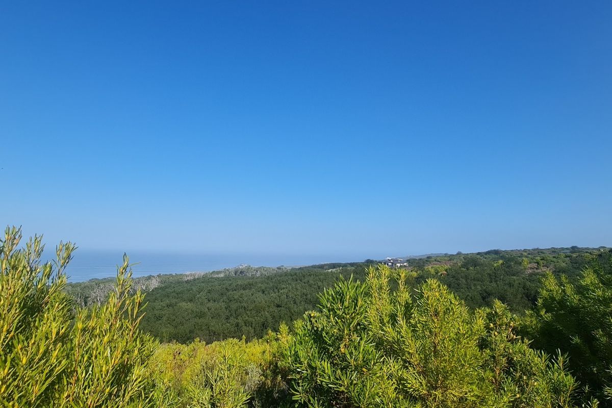 Luxurious Living in Pezula Private Nature Estate - Photo 3