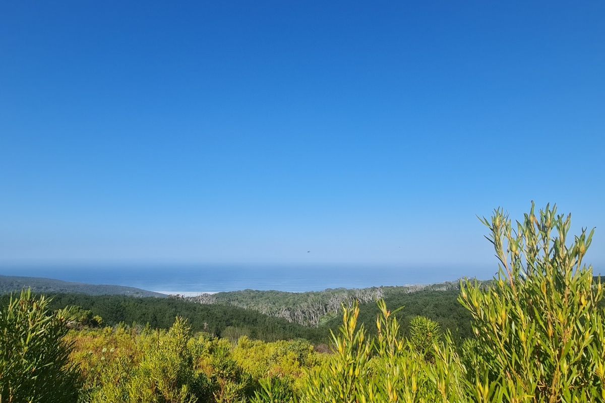 Luxurious Living in Pezula Private Nature Estate - Photo 4