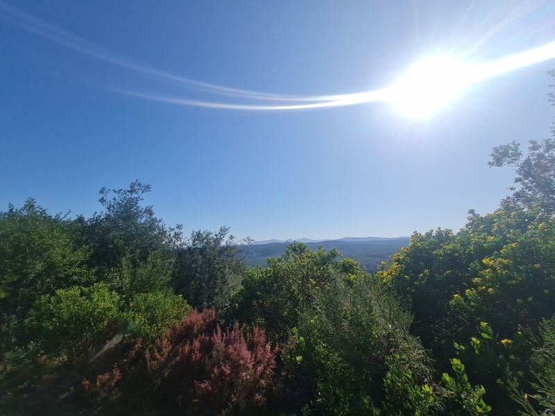 Luxurious Living in Pezula Private Nature Estate - Photo 7