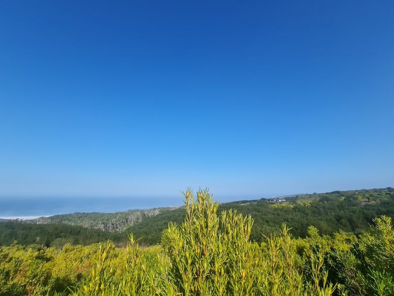 Luxurious Living in Pezula Private Nature Estate - Photo 8