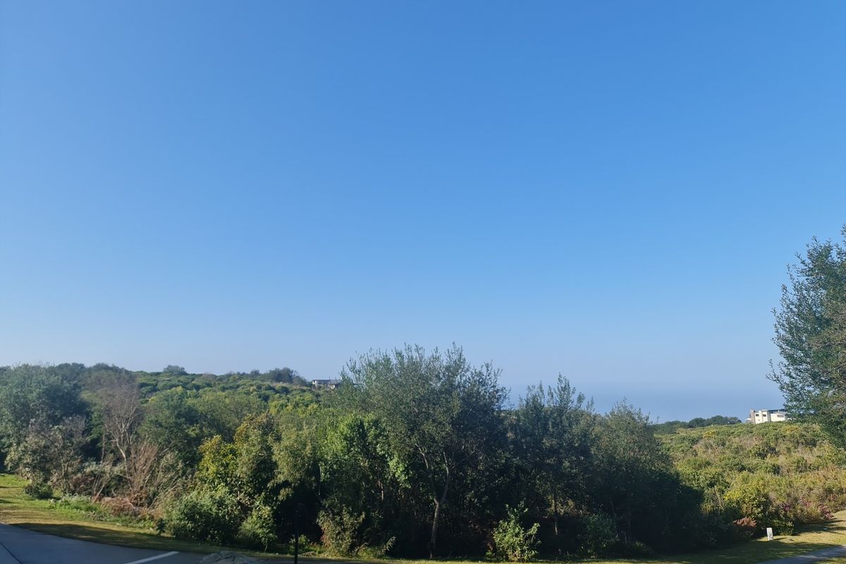 Once-in-a-lifetime opportunity! - Photo 4