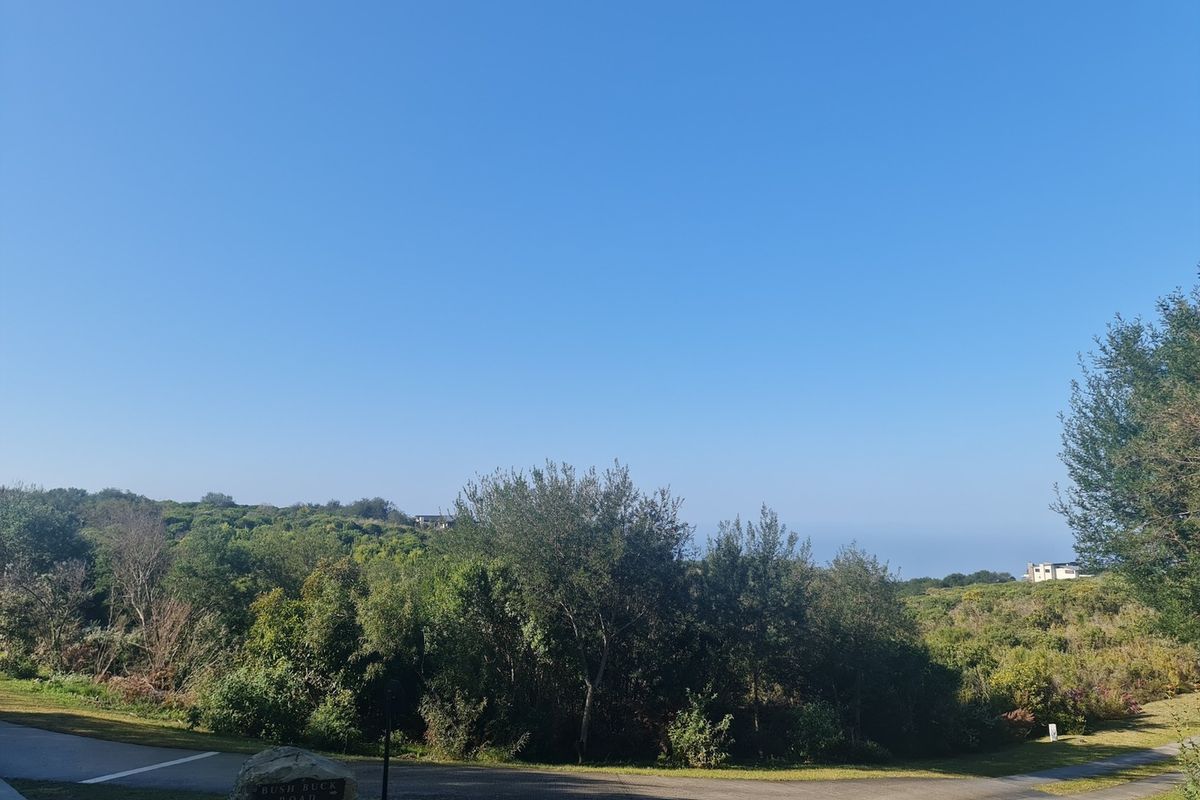 Once-in-a-lifetime opportunity! - Photo 3