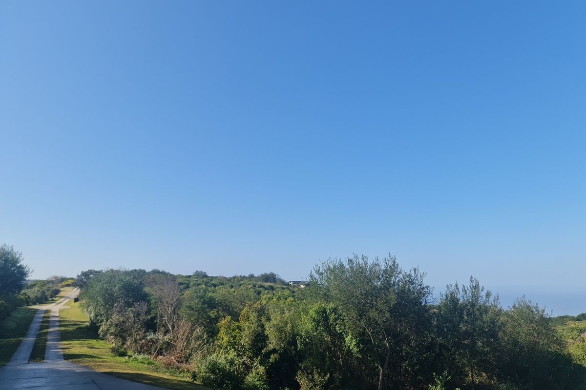 Once-in-a-lifetime opportunity! - Photo 2