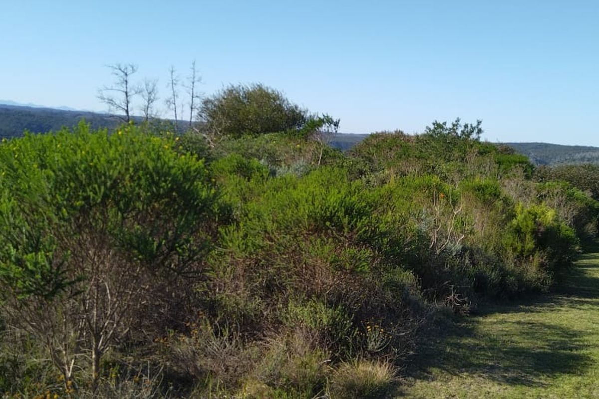 Once-in-a-lifetime opportunity! - Photo 5