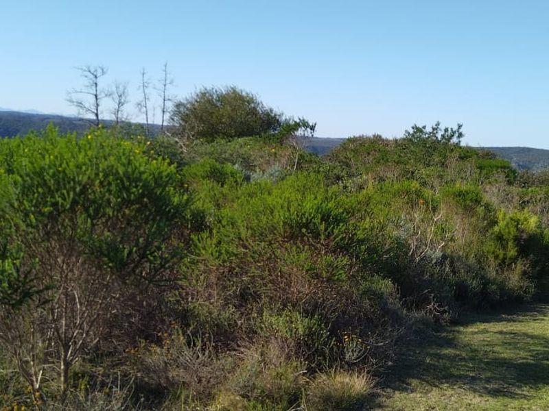 Once-in-a-lifetime opportunity! - Photo 5