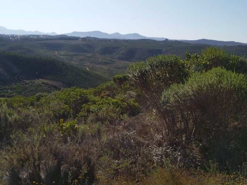 Once-in-a-lifetime opportunity! - Photo 10