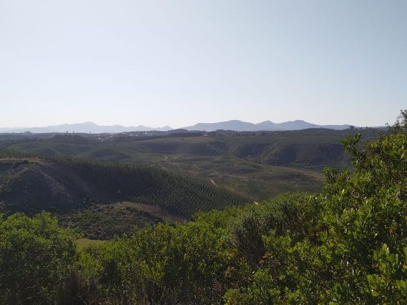 Once-in-a-lifetime opportunity! - Photo 9