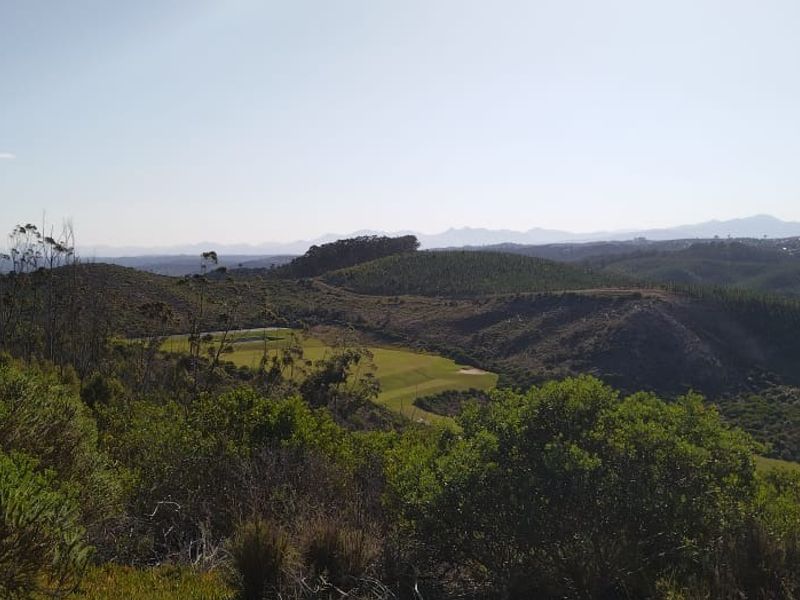 Once-in-a-lifetime opportunity! - Photo 8