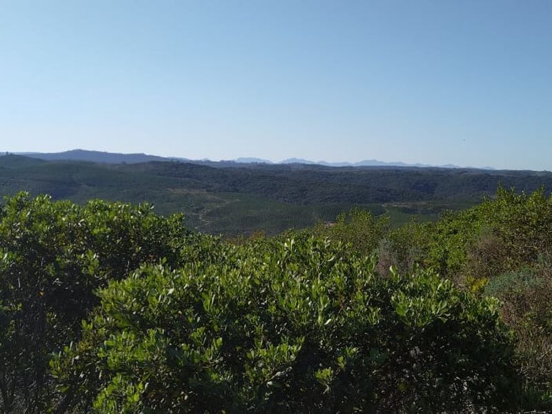 Once-in-a-lifetime opportunity! - Photo 7