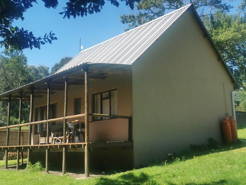 Potential of a lifetime in the heart of Harkerville Forest - Photo 9