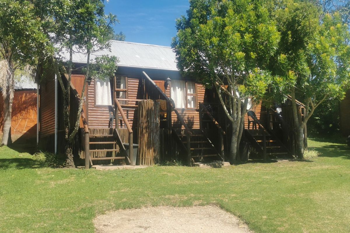 Potential of a lifetime in the heart of Harkerville Forest - Photo 5