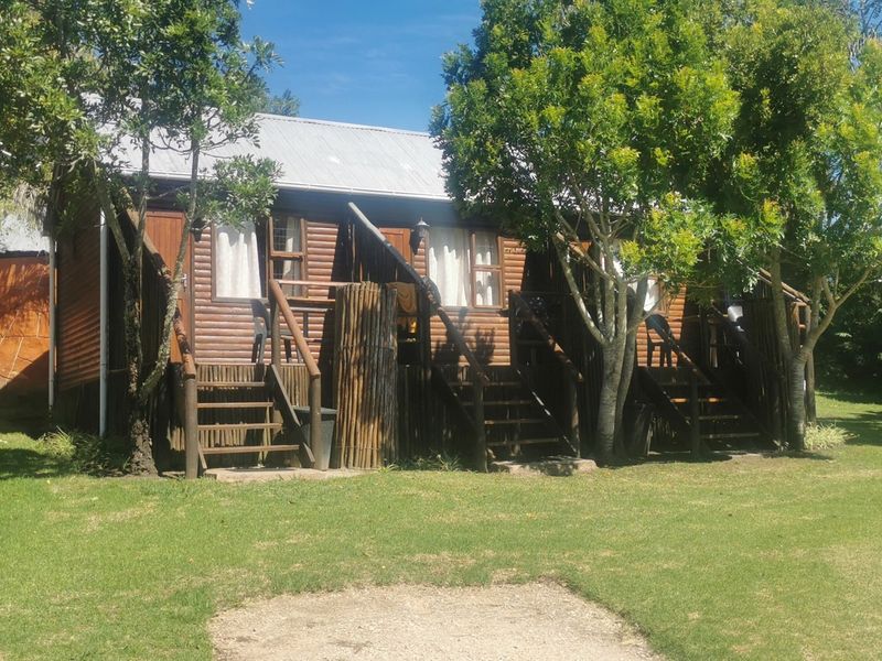 Potential of a lifetime in the heart of Harkerville Forest - Photo 5