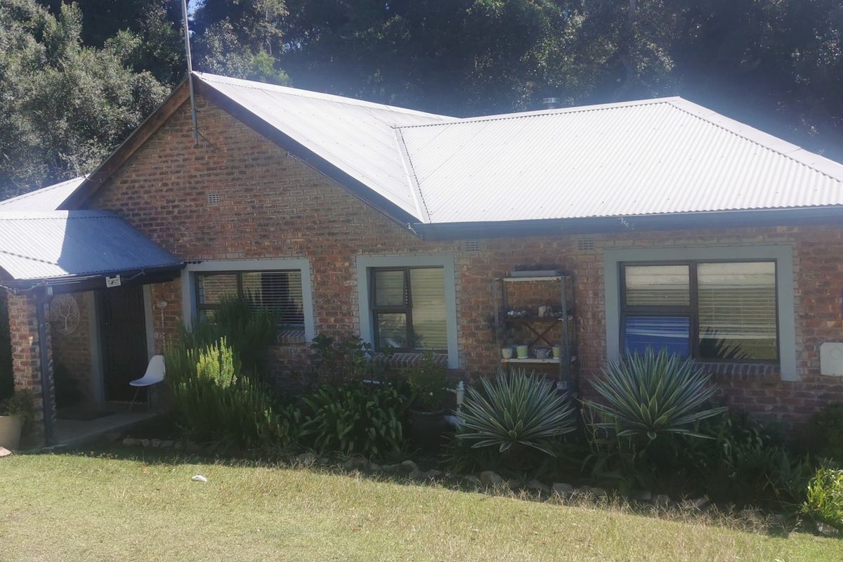 Potential of a lifetime in the heart of Harkerville Forest - Photo 3