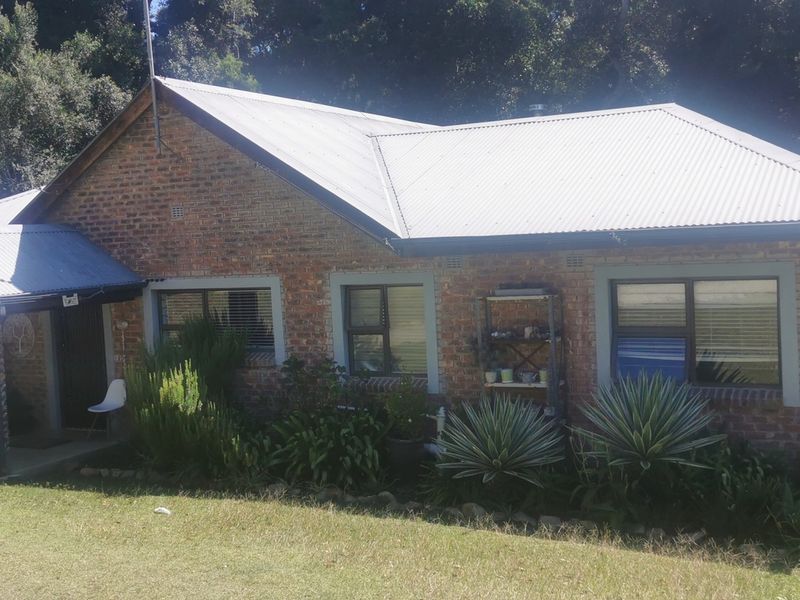 Potential of a lifetime in the heart of Harkerville Forest - Photo 3