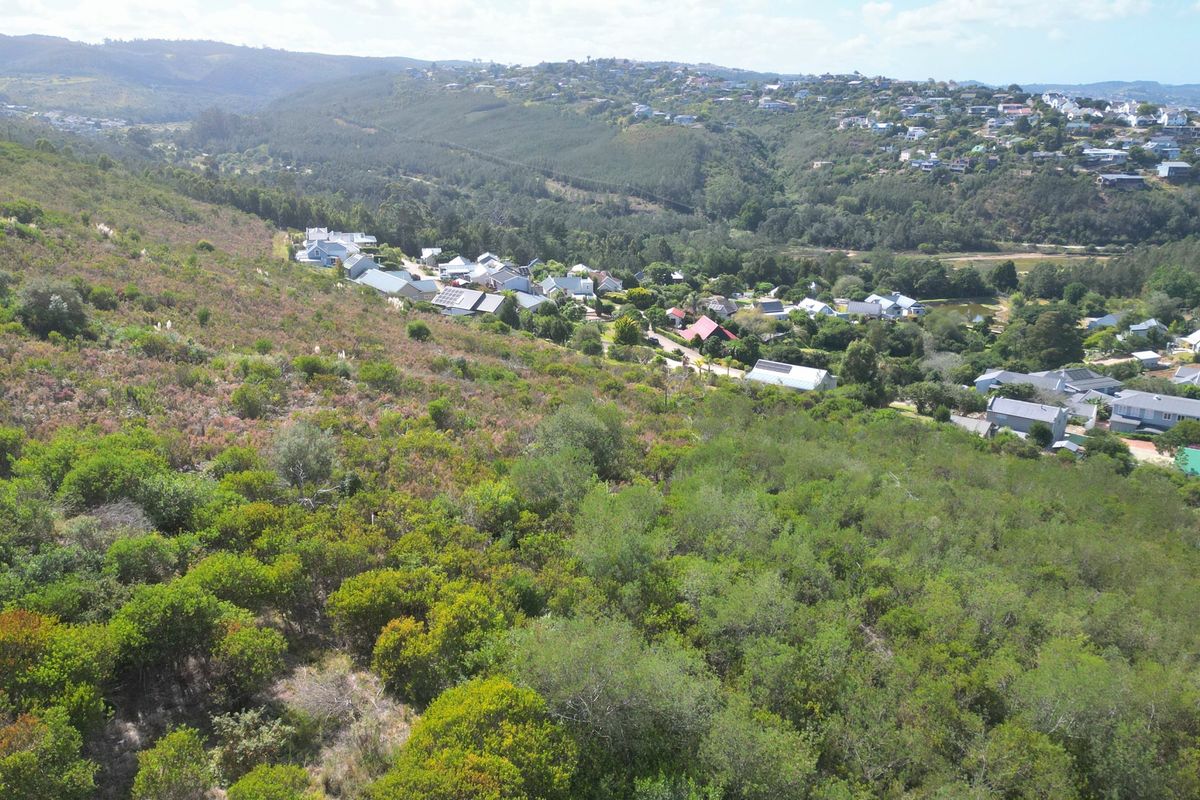 An aerial view of a sloped, undeveloped residential plot covered in native vegetation, overlooking a suburban neighborhood and surrounding hills.