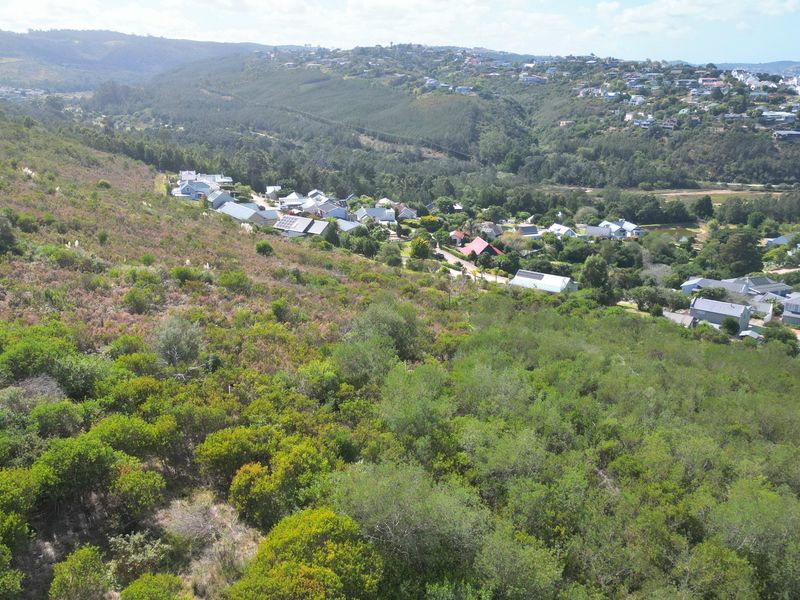 An aerial view of a sloped, undeveloped residential plot covered in native vegetation, overlooking a suburban neighborhood and surrounding hills.