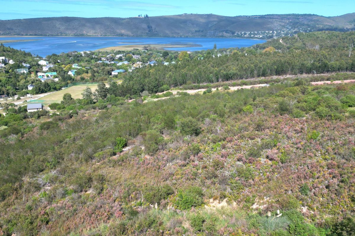 An aerial view of a vacant residential plot featuring natural vegetation and sloped terrain, overlooking a scenic lagoon and surrounding landscape.