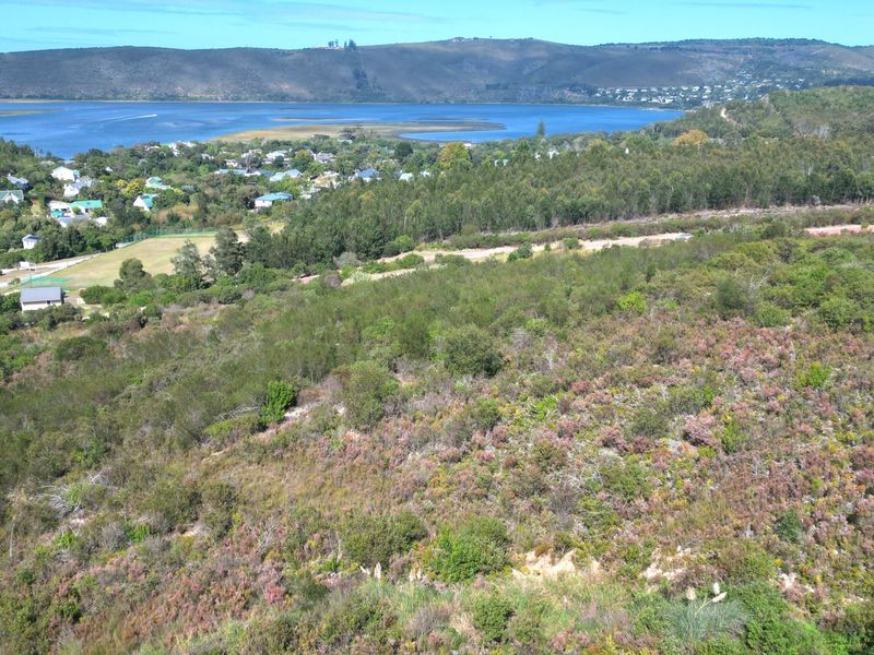 An aerial view of a vacant residential plot featuring natural vegetation and sloped terrain, overlooking a scenic lagoon and surrounding landscape.