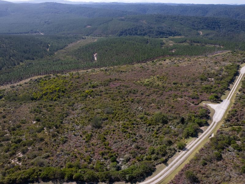 An aerial view of a large, undeveloped residential plot featuring natural vegetation and direct access to a paved road.