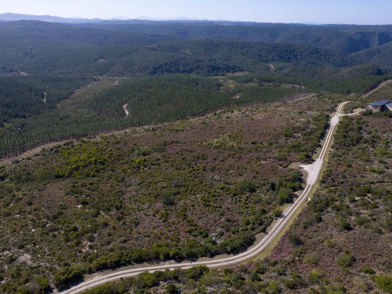 An aerial view of a large residential plot featuring a paved access road surrounded by expansive natural vegetation and forest.