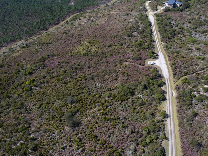 Aerial view of a large, undeveloped residential plot featuring natural vegetation and an existing paved driveway access road.
