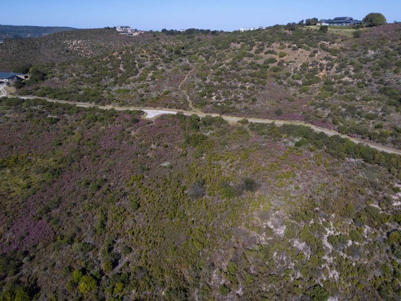 An aerial view of a large, sloped residential vacant land plot featuring native vegetation and access to a gravel road.