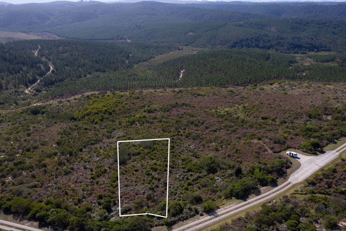 Aerial view of a vacant residential plot featuring natural vegetation and direct access to a paved road in a scenic landscape.