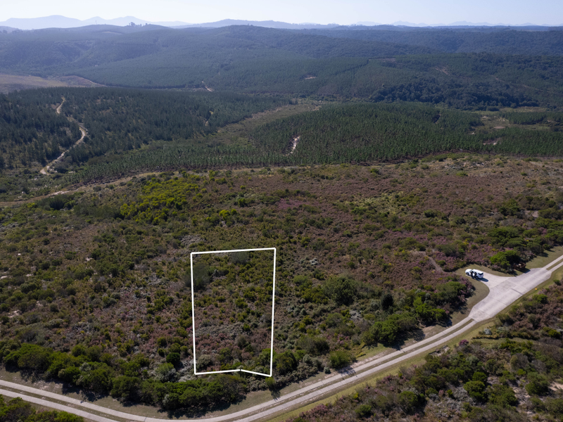 Aerial view of a vacant residential plot featuring natural vegetation and direct access to a paved road in a scenic landscape.