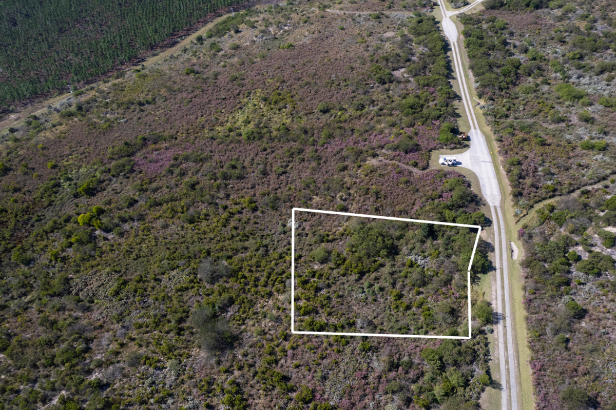 Aerial view of a vacant residential plot featuring natural vegetation and direct access to a paved road.
