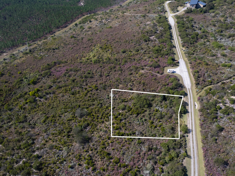 Aerial view of a vacant residential plot featuring natural vegetation and direct access to a paved road.