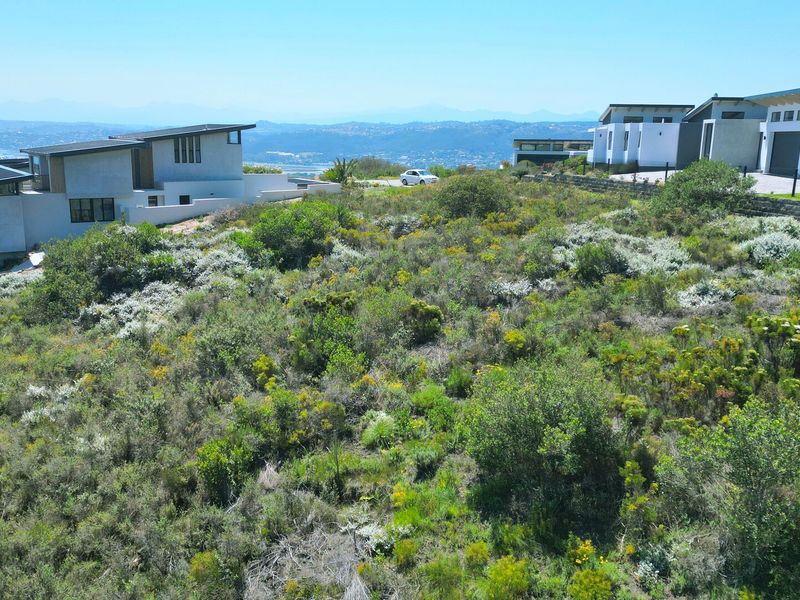 An elevated aerial view of a sloped residential vacant land plot featuring native vegetation, adjacent modern homes, and distant landscape views.
