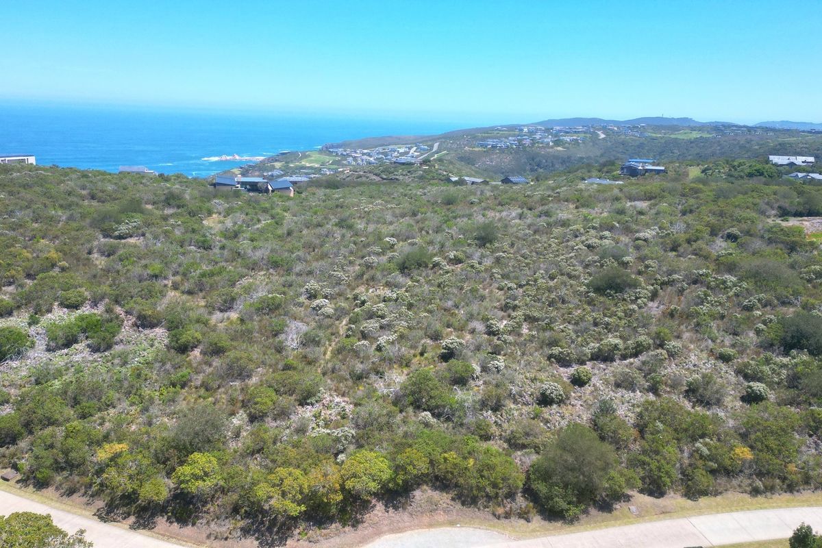 An elevated aerial view of a vacant residential plot featuring natural coastal vegetation and scenic ocean views in a developed estate setting.