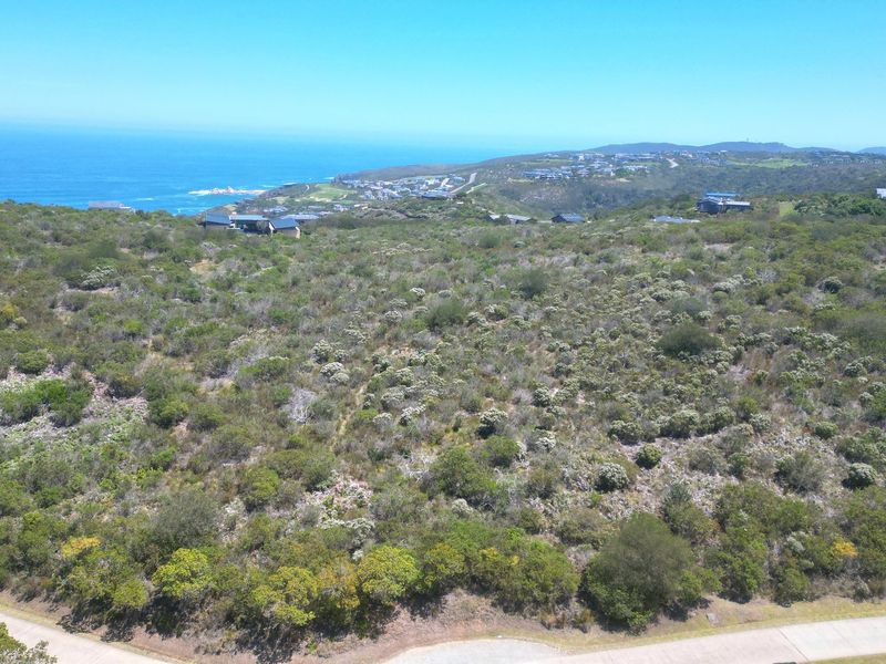 An elevated aerial view of a vacant residential plot featuring natural coastal vegetation and scenic ocean views in a developed estate setting.
