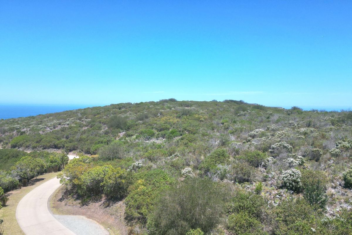 An aerial view of a vacant residential plot featuring natural coastal vegetation and a paved access road with distant ocean views.