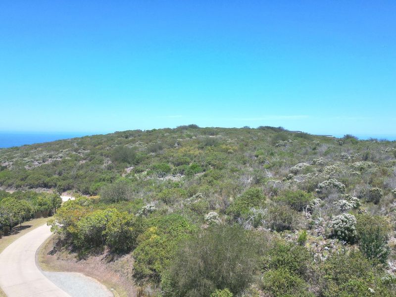 An aerial view of a vacant residential plot featuring natural coastal vegetation and a paved access road with distant ocean views.