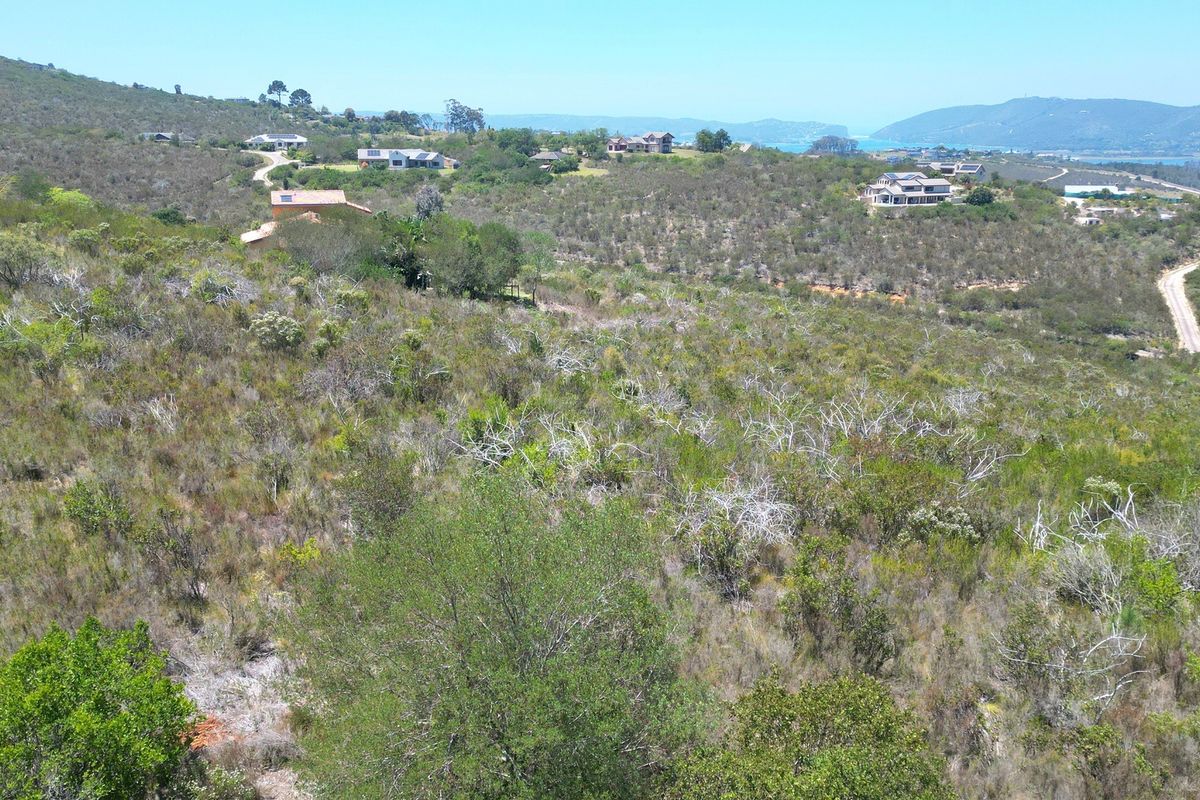 An aerial view of a vacant residential plot featuring natural vegetation and sloped terrain, situated in a scenic hillside neighborhood.