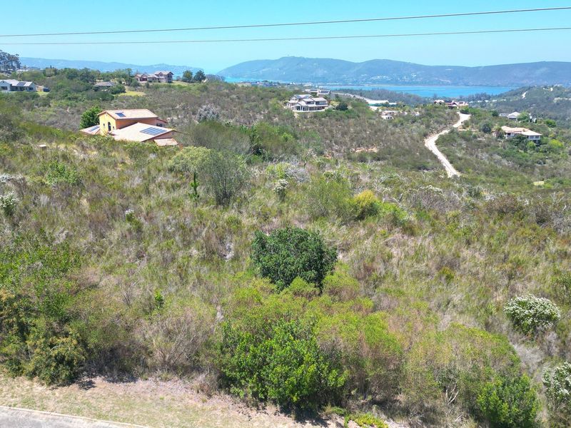 An aerial view of a vacant residential plot featuring natural vegetation and sloped terrain with surrounding neighborhood and distant water views.