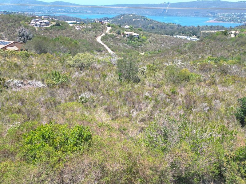 Elevated view overlooking a sloped, undeveloped residential plot with natural vegetation and distant water views.