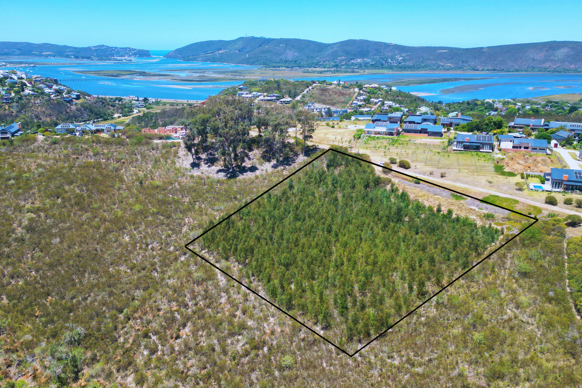 An aerial view of a vacant residential plot featuring natural vegetation, with a clear boundary outline and scenic coastal landscape in the background.