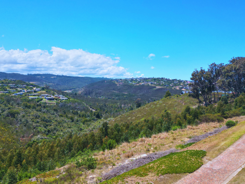 An elevated view of the surrounding landscape and residential area, featuring a paved driveway leading through the vacant residential land.