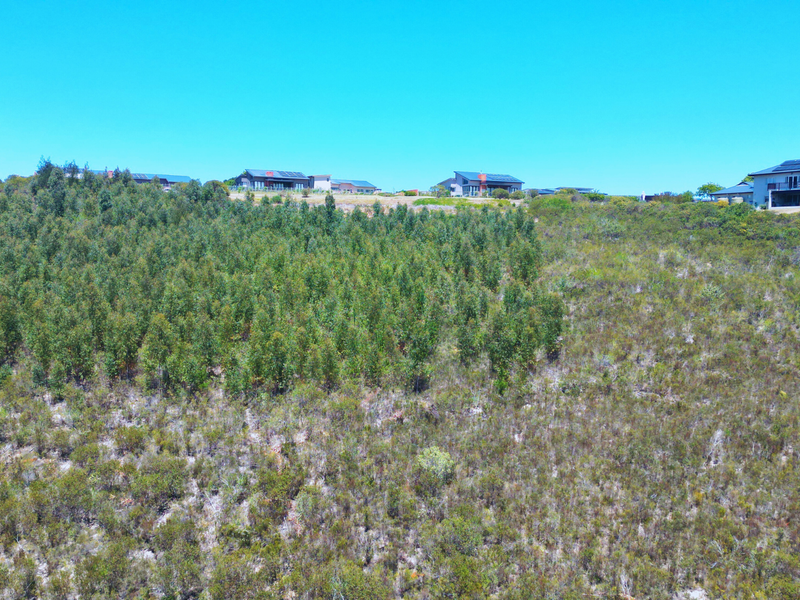 An aerial view of a large, undeveloped residential plot featuring natural vegetation and a sloped landscape with neighboring properties visible in the distance.