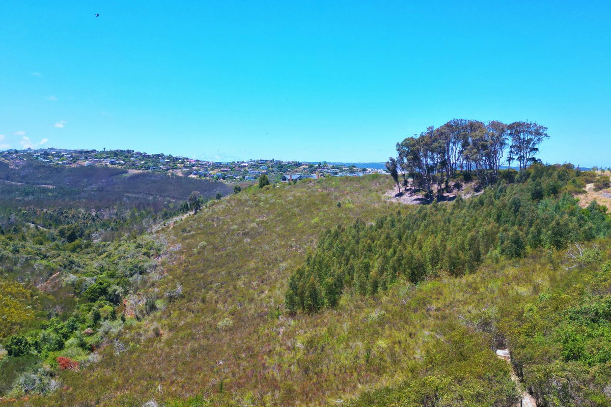 An aerial view of the vacant residential land, showcasing the natural sloped terrain, native vegetation, and surrounding landscape.
