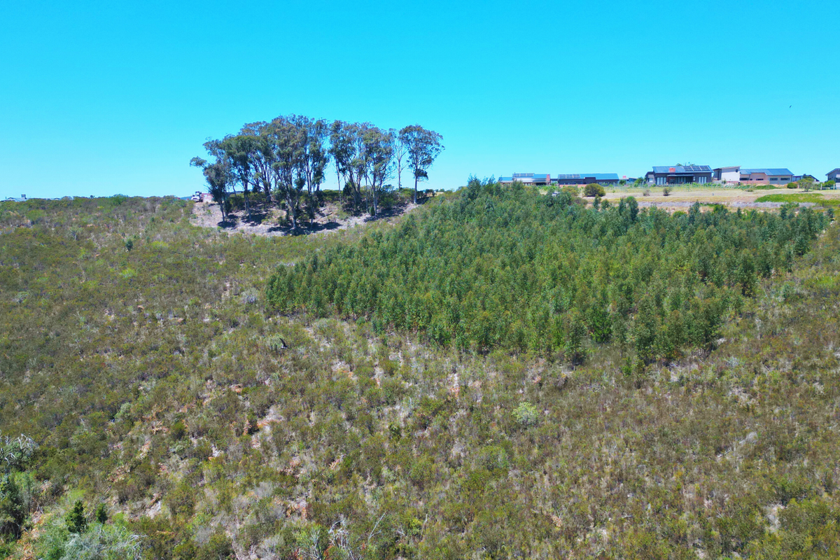 An aerial view of a large, sloped residential vacant land plot featuring native vegetation and established trees, with neighboring properties visible in the distance.