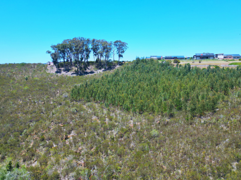 An aerial view of a large, sloped residential vacant land plot featuring native vegetation and established trees, with neighboring properties visible in the distance.