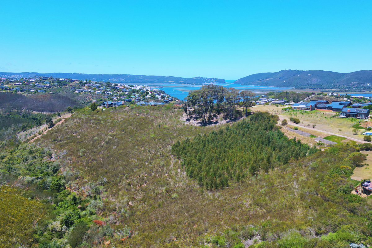 An aerial view of a large, undeveloped residential plot featuring natural vegetation and expansive views of the surrounding landscape and estuary.