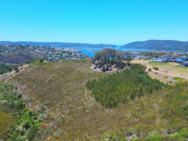 An aerial view of a large, undeveloped residential plot featuring natural vegetation and expansive views of the surrounding landscape and estuary.