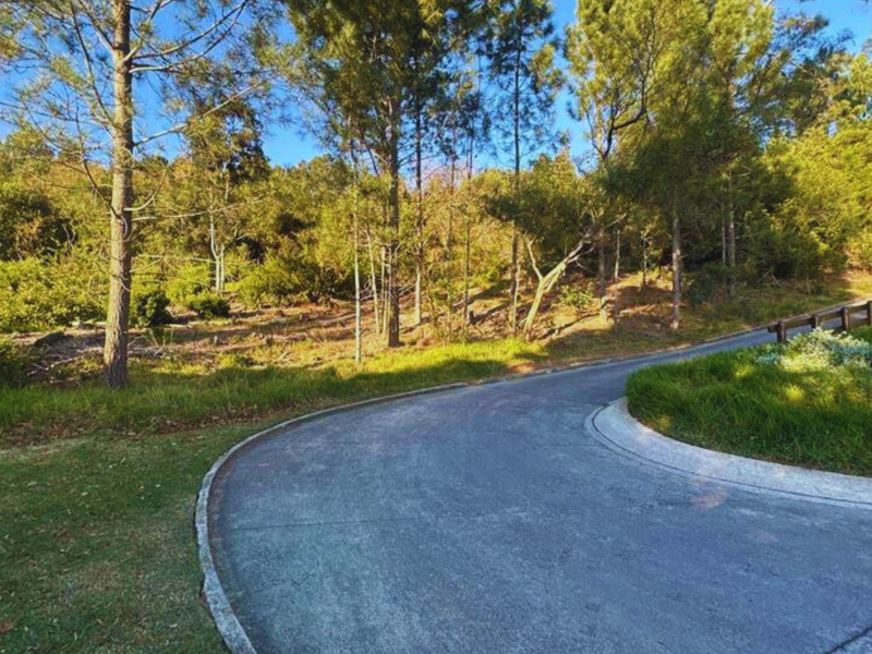 A view of a paved residential street curving through a wooded area with established trees and a timber guardrail.