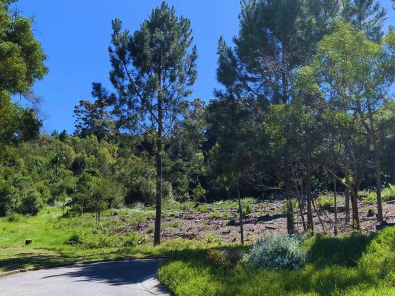 A view of a vacant residential plot featuring a paved driveway entrance, mature trees, and cleared land ready for development.