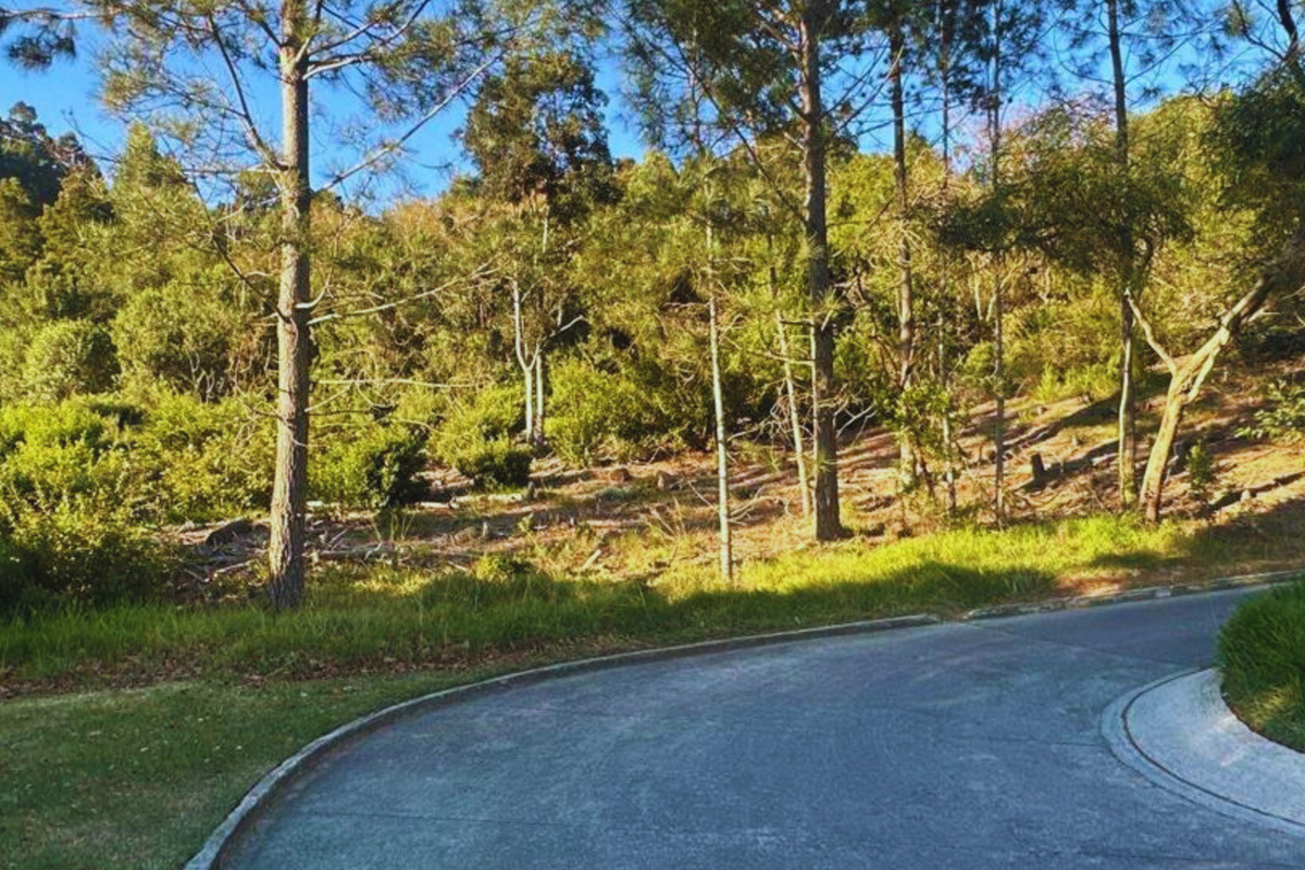 A view of the residential street frontage showing the paved road, concrete curbing, and the natural sloped landscape of the vacant plot.